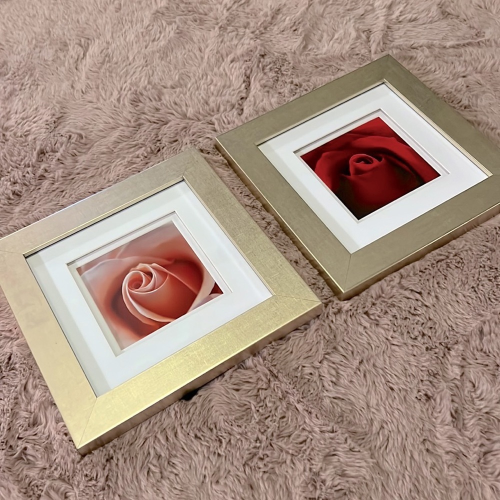 Set of 2 soft champagne gold framed rose photos white matte 10” x 10” square​​ - Picture 5 of 13